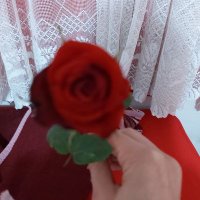 ENCL (@englinci) Twitter profile photo