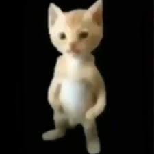 altscristox's profile picture. 