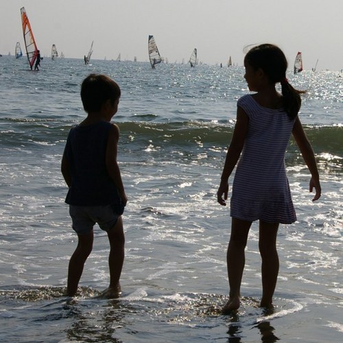 mikeskanner's profile picture. 