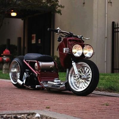 freebas70101285's profile picture. 