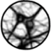 Media Art Numérique (@arts_numeriques) Twitter profile photo