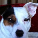 Malcolm Stevens - @sonofsean - Twitter