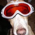 Der_Entscheider's profile picture. Manche Dinge Ärgern mich und vielleicht geht es Dir ja auch so, dann sind wir schon zwei!