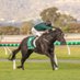 Lachlan Weekley (@lachie_weekley) Twitter profile photo