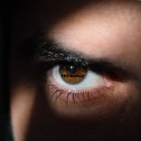 Spy Reblog (@spyreblog) 's Twitter Profile
