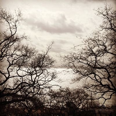 PringleJw's profile picture. Writer of landscapes and portraits.