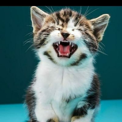 MayangKinasih's profile picture. Farmasi PKJ 2 | @FOSTIFarmasi