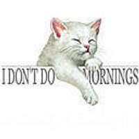 Sally Lewis (@tickingsal) 's Twitter Profile