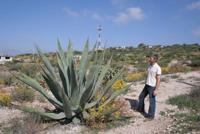 ixmi_hgo's profile picture. Comentarista popular