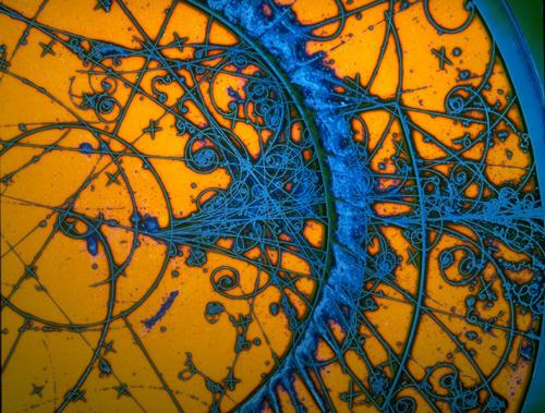 Rod_McKinley's profile picture. Feeds on Clean-Tech, Current Affairs, Science, Economics, & Philosophy