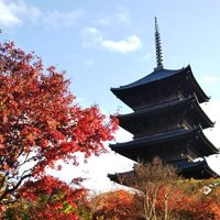 れお@取引垢/リトリン必読 (@t_____reo) 's Twitter Profile