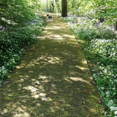 bridgetmartin82's profile picture. Registered mental health nurse. Dementia champion and ambassador. Raising awareness and empowering those living with dementia.