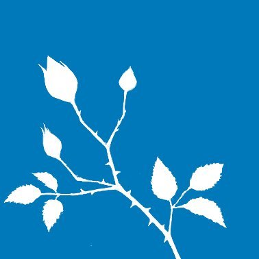 ooooykkkk's profile picture. なにか描いたときに絵を上げる用 /
転載･複製 ･AI学習 禁止 / 
Do not reupload my art / 
Do not use my art for AI training