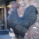 cory luker - @freefall6106 - Twitter