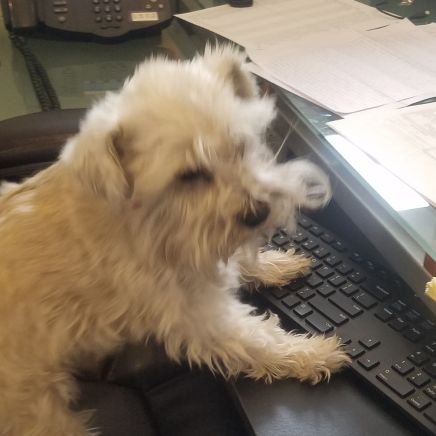 dlamalva's profile picture. friend of the program