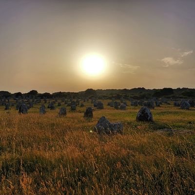 desgatvaire's profile picture. Llença el davantal a l'aire