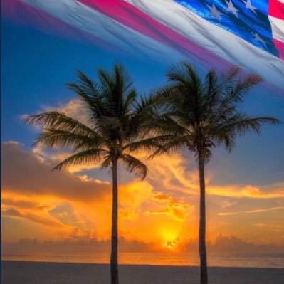 bellajoe10's profile picture. 