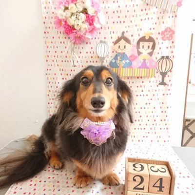 CGUqeMN5o33hkl2's profile picture. ウィズは引退しました⭐️ レイドが大好きでした🎵 ラーメンが好き♡ 無言フォローすみません&歓迎です☆ よろしくお願いします(≧▽≦)☆