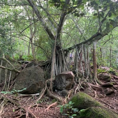 b084m026x's profile picture. surfer,logbuilder