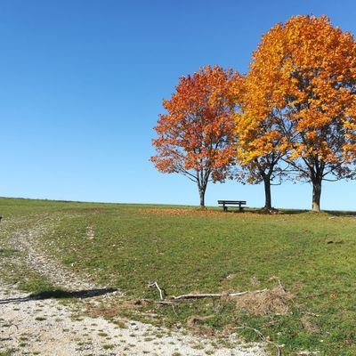 Jower52624264's profile picture. MD