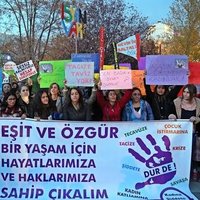 Dersim Kadın Platformu (@dersimkadn) 's Twitter Profile