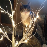 Gina (@gina34851852) 's Twitter Profile