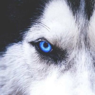 this is my page for inspiration.
you can follow if you like :)