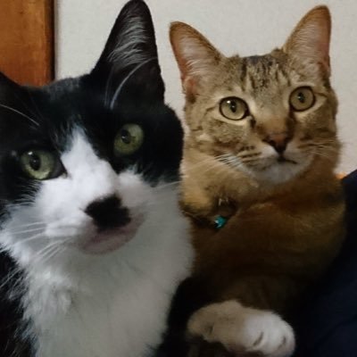 FzHDF3ZiGe1PO43's profile picture.