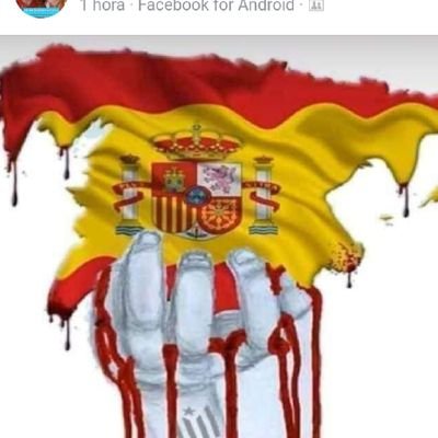 FranAlbiach's profile picture. https://t.co/EHCin9GnBG