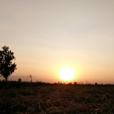 PrashantRB5's profile picture. Hard