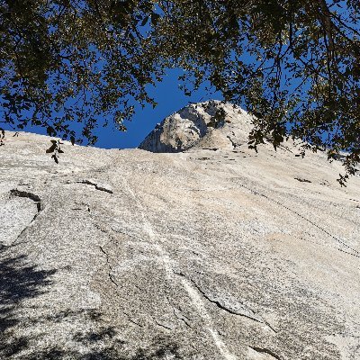 DaTaro4's profile picture. 三十路ですが転職を経て未経験からデータサイエンティストなりました！毎日楽しくデータ分析やモデリングをやっております。データサイエンティストってなに？どうやってデータサイエンティストになれたのか？などなどブログで紹介しています！ブログ→https://t.co/wWEoSf9ez6
意見交換大歓迎です！