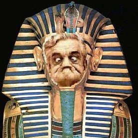 Pelleringa1's profile picture. PHP and other stuff Development fan