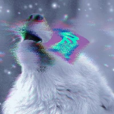 一匹狼。 (@d13aura) / X