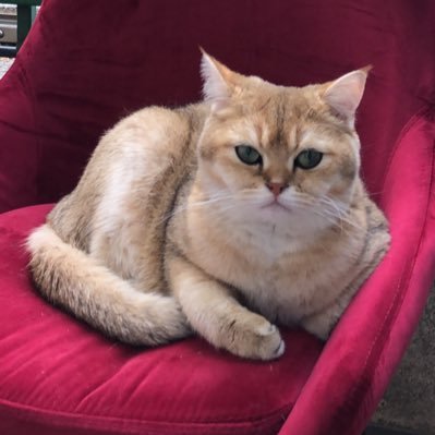 AndreyS314's profile picture. 