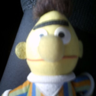 bobob6212_bob's profile picture. 