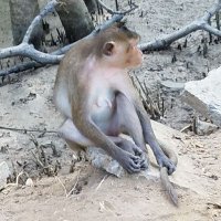 Kem Học Sinh (@sinhkem) 's Twitter Profile
