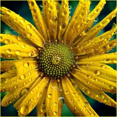 tracyheth's profile picture. 