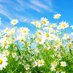 @ethicalcareersservice (@a76796083) Twitter profile photo @ethicalcareersservice (@a76796083) Twitter profile photo