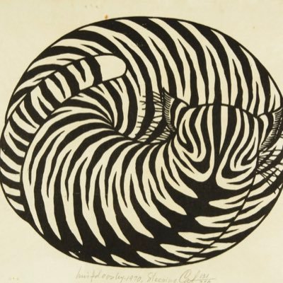 Sterennr's profile picture. 