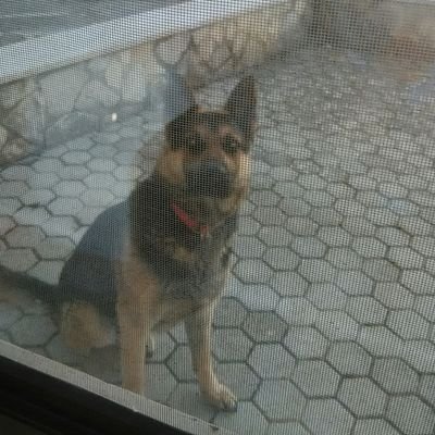 Teacucchia73's profile picture. 