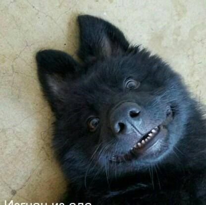 BYtsDNfokWj7WxO's profile picture. 