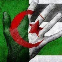 Mohammed الجزائري(@Mohamme59523295) 's Twitter Profileg