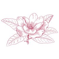 Minimalistic Blog (@minimalisticb) 's Twitter Profile