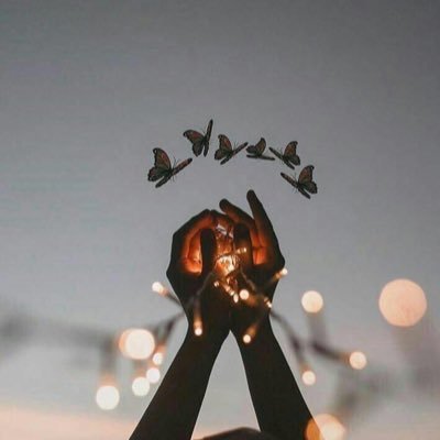 PwlB3p's profile picture. وما توفيقي الابالله ،،،