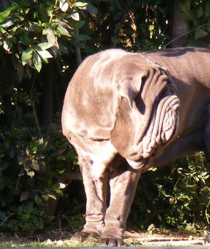 delreyarturo's profile picture. 👾🛡️ @wardenprotocol