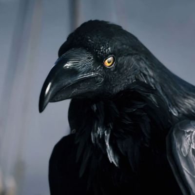 duportir's profile picture. The one that pays the piper, calls the tune.
