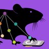DeepLabCut's profile picture. Python package for markerless pose estimation 4 animals (including humans) | free, open code | dev by @mwmathislab @amathislab