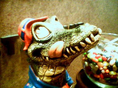 slackerufl's profile picture. Love my wife and daughters (and baseball). Go Marlins!