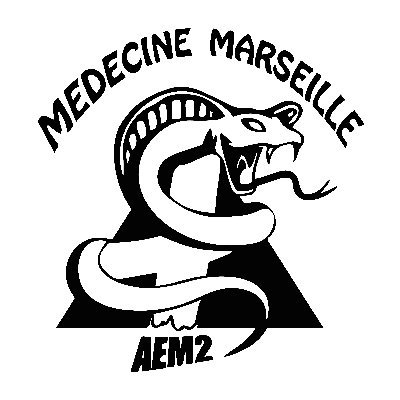 Association des Étudiants en Médecine de Marseille
bureau.aem2@gmail.com