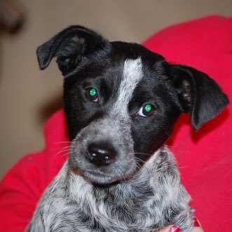 mdamore3_damore's profile picture. ACD x 2 mom, MS English teacher, ocean/beach lover, Red Sox fan AND proud Etheridge Nation member!